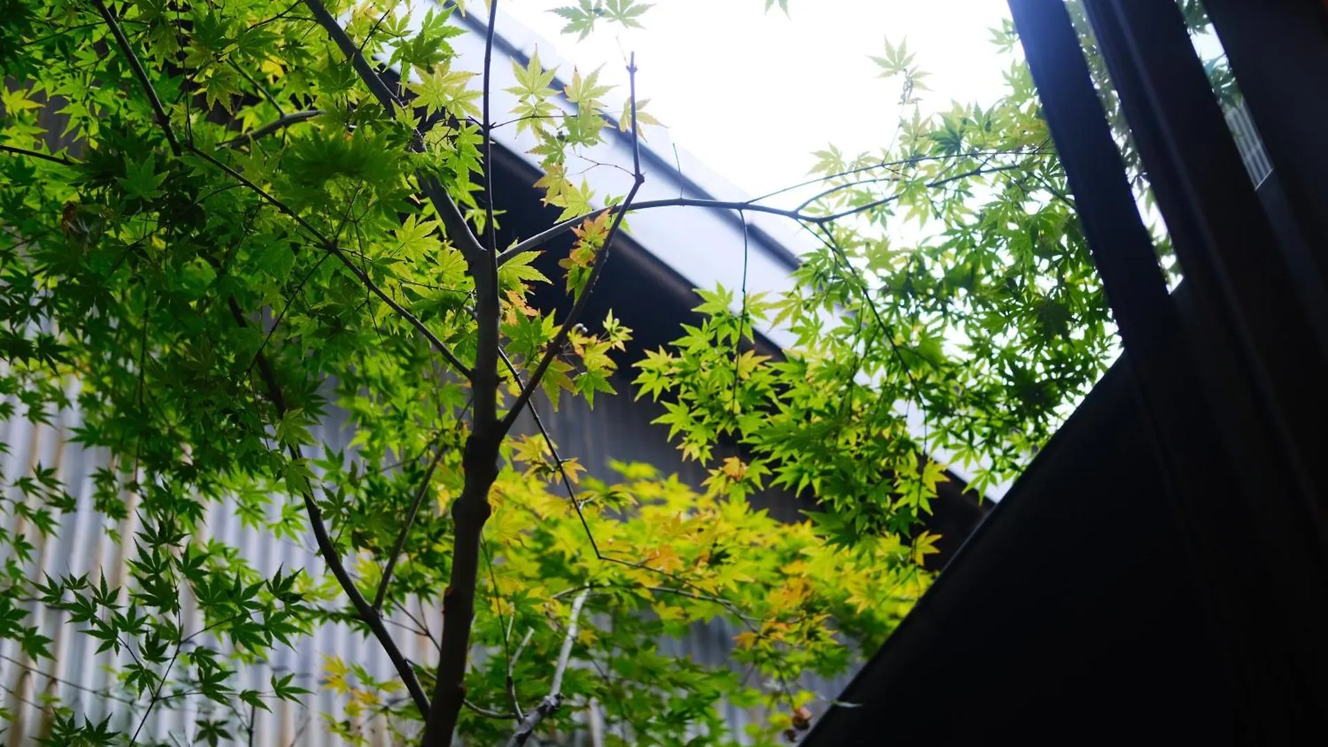 Sloom Kyoto Reclusive Kyo-Machiya In Higashiyama Villa Japan